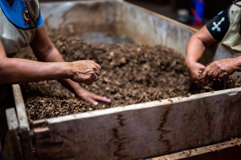 Hands-on training program for school children on organic farming and vermicomposting