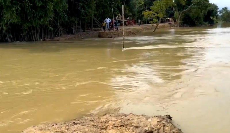 Assam floods: 58 deaths, 23 lakh people impacted, hundreds homeless as Brahmaputra, other rivers cross danger mark