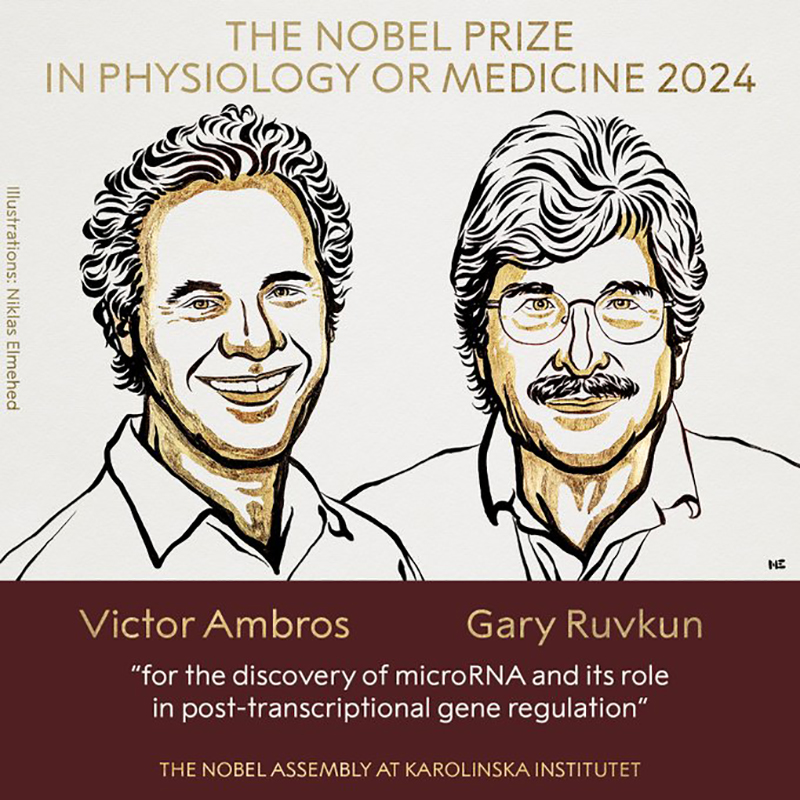 Scientists Victor Ambros and Gary Ruvkun awarded Nobel Prize in Medicine for discovery of microRNA