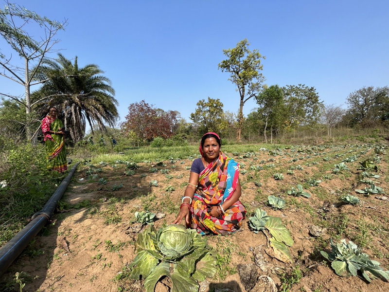 Nirmala Mahanto works in her fields in Keonjhar, Odisha using her learnings from digital videos.