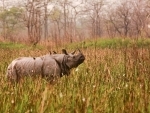 Students sensitised on importance of biodiversity in Orang Nature Camp