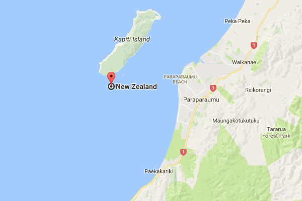 Tsunami hits New Zealand 