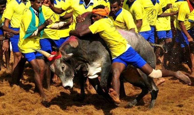 Tamil Nadu: Police and pro-Jallikattu protesters clash in Chennai Marina Beach and other places 