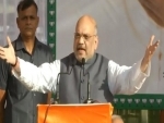 BJP more interested to see Kashmir's development: Amit Shah