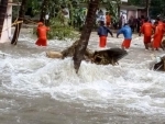 Kerela floods: DGCA asks domestic airlines to mount additional flights