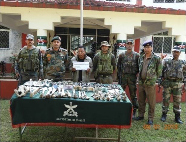 Assam Rifles recovers huge quantity of wild animals' body parts in Nagaland