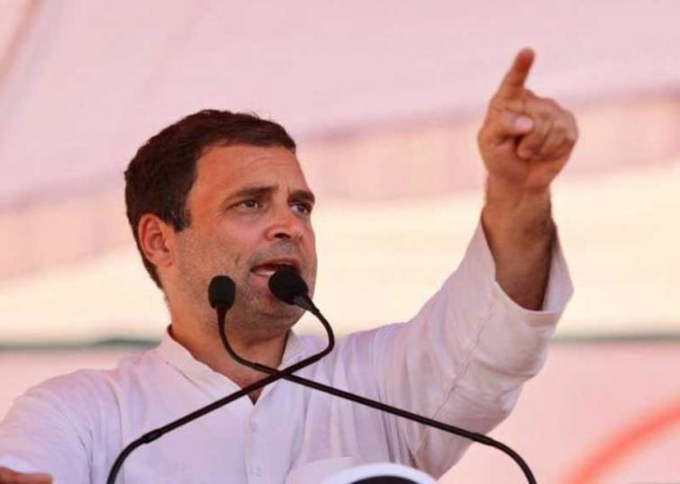 Rahul Gandhi's nomination for Amethi LS seat found valid; DM court rejects all 'Raul Vinci' objections