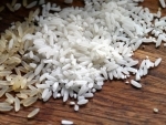 PDS rice worth Rs 2.28 lakh seized