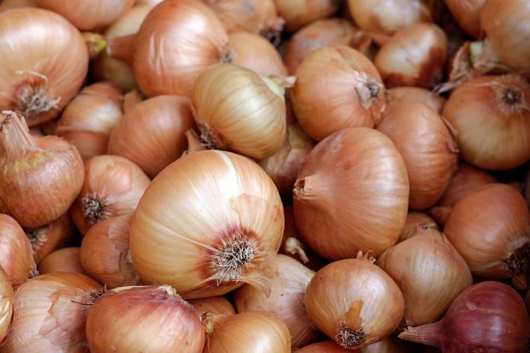 Opposition Congress protests against onion price hikes in Assam assembly by wearing onion garlands