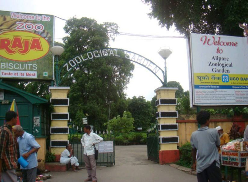 Kolkata: Two electrocuted at Alipore Zoo, another hospitalized in critical condition