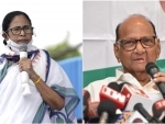 Mamata Banerjee dials Sharad Pawar after Nawab Malik's arrest, expresses solidarity