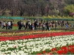 Jammu and Kashmir: Tulip garden thrown open