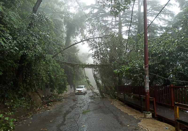 Himachal Pradesh: 17 die in rain-related accidents, 37 missing