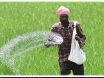 Declining soil fertility and decreased wheat yield raise concerns for Punjab farmers