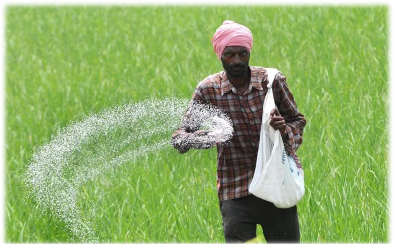 Declining soil fertility and decreased wheat yield raise concerns for Punjab farmers