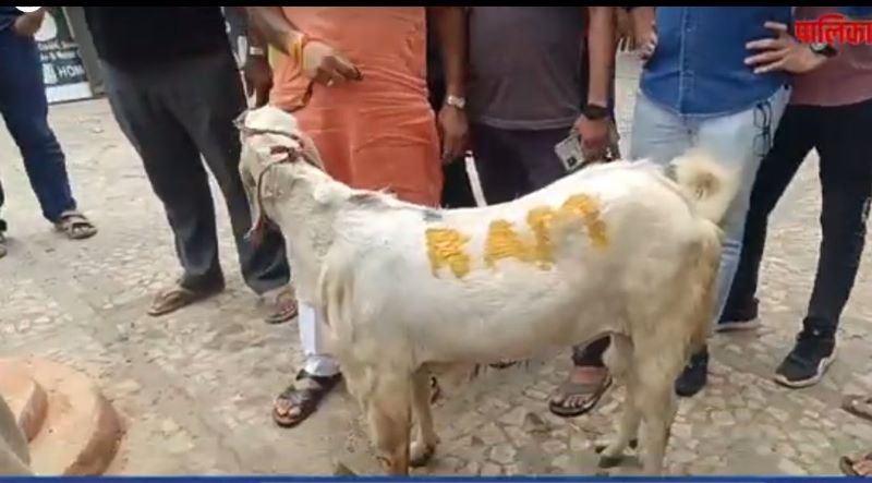 Mumbai Police files complaint against meat shop owner after video of 'Ram' scribbled on goat's body ahead of Bakrid goes viral