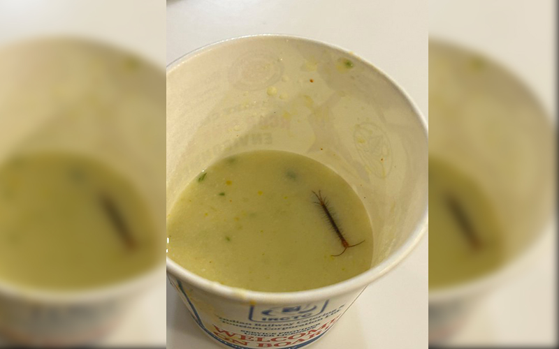 Delhi man finds live centipede in food served by IRCTC, his X post is now viral