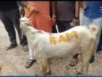 Mumbai Police files complaint against meat shop owner after video of 'Ram' scribbled on goat's body ahead of Bakrid goes viral