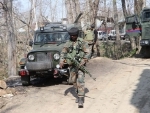 Jammu and Kashmir: Security forces kill suspected terrorist in Bandipora
