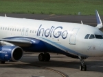 IndiGo passengers stranded nationwide as airline faces major 'system slowdown'