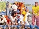 South-West Punjab’s shrimp farming is emerging as a 'salty revolution'