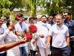 Rahul Gandhi heads for a massive win in Rae Bareli, surpasses Sonia Gandhi's victory margin
