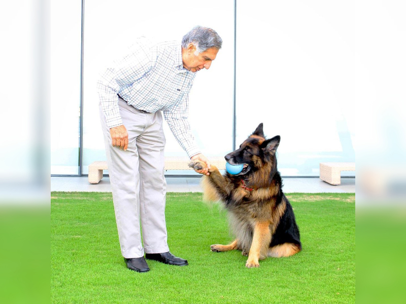 Ratan Tata’s will secures 'unlimited' care for his dog 'Tito'