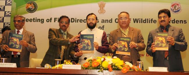 Tiger population in India increases by 30.5 pct: Prakash Javadekar 