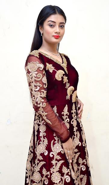 Shyam Sundar Co. Jewellers' â€œSharad Sundari 2016â€ unveiled