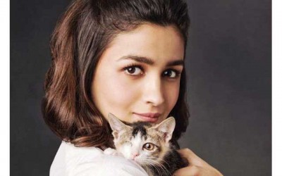 Alia Bhatt completes five years in Bollywood 