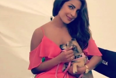 Young and free: Priyanka Chopra thanks Will Sparks for collaboration