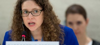 Idea of â€˜homogenousâ€™ Polish culture is a myth: UN human rights expert