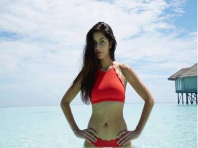 Bollywood actress Katrina Kaif turns 35 