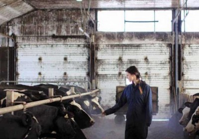 Murmur to have World Premiere at TIFF 2019