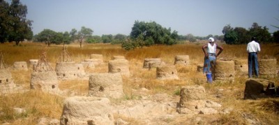 Delhi Declaration: Countries agree to make â€˜land degradation neutralityâ€™ by 2030, a national target for action