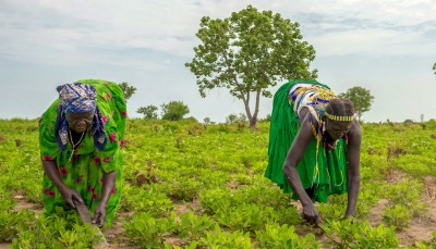 'Temporary Basic Income' could slow COVID surge, provide lifeline for world’s poorest