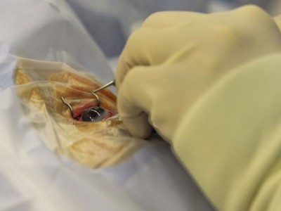 Former Prime Minister of Mauritius undergoes eye surgery in Hyderabad