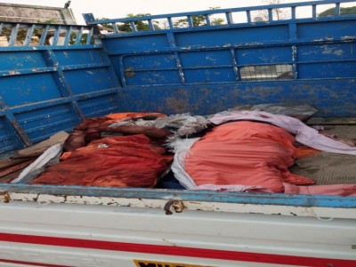Three men, including two sadhus, lynched in Maharashtra's Palghar;110 arrested