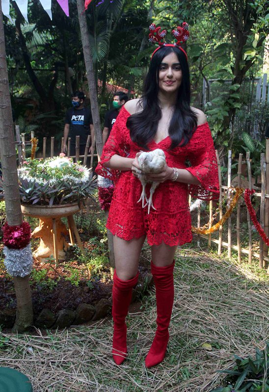 Adah Sharma dresses as Santa Claus