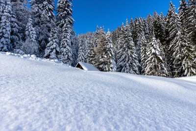 Jammu and Kashmir: Divisional Commissioner takes stock of snow clearance drive in Shopian