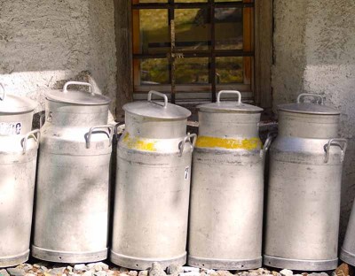 Jammu and Kashmir: 'Umeed' scheme helps create first-ever all women dairy farmer producer organization