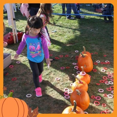 Canada: Toronto parks to see return of Pumpkin Parade festival tomorrow