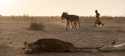 Hunger still rising across East Africa, says new UN-backed report