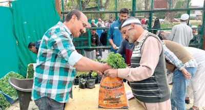 Jammu and Kashmir: 2nd phase of Vegetable seedling distribution begins at Lalmandi