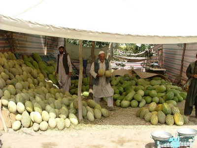 Afghanistan: Fruit sellers, growers criticize Pakistan's decision to increase customs tariffs