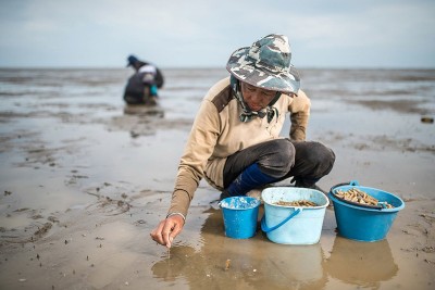 Developing countries at COP27 call for ‘climate justice’ in the form of adaptation and loss and damage funds