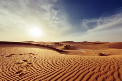 Heatwave conditions prevail in west Rajasthan and Delhi