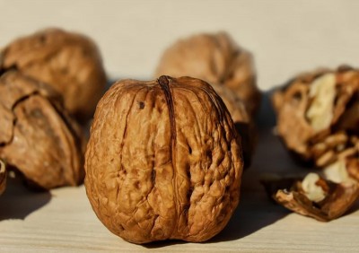 Jammu and Kashmir: Walnut growers seek govt's help