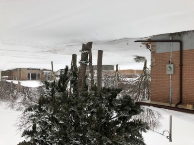 Canada: Most schools in Ontario and Quebec to be closed today due to severe snowstorm