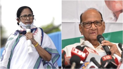 Mamata Banerjee dials Sharad Pawar after Nawab Malik's arrest, expresses solidarity